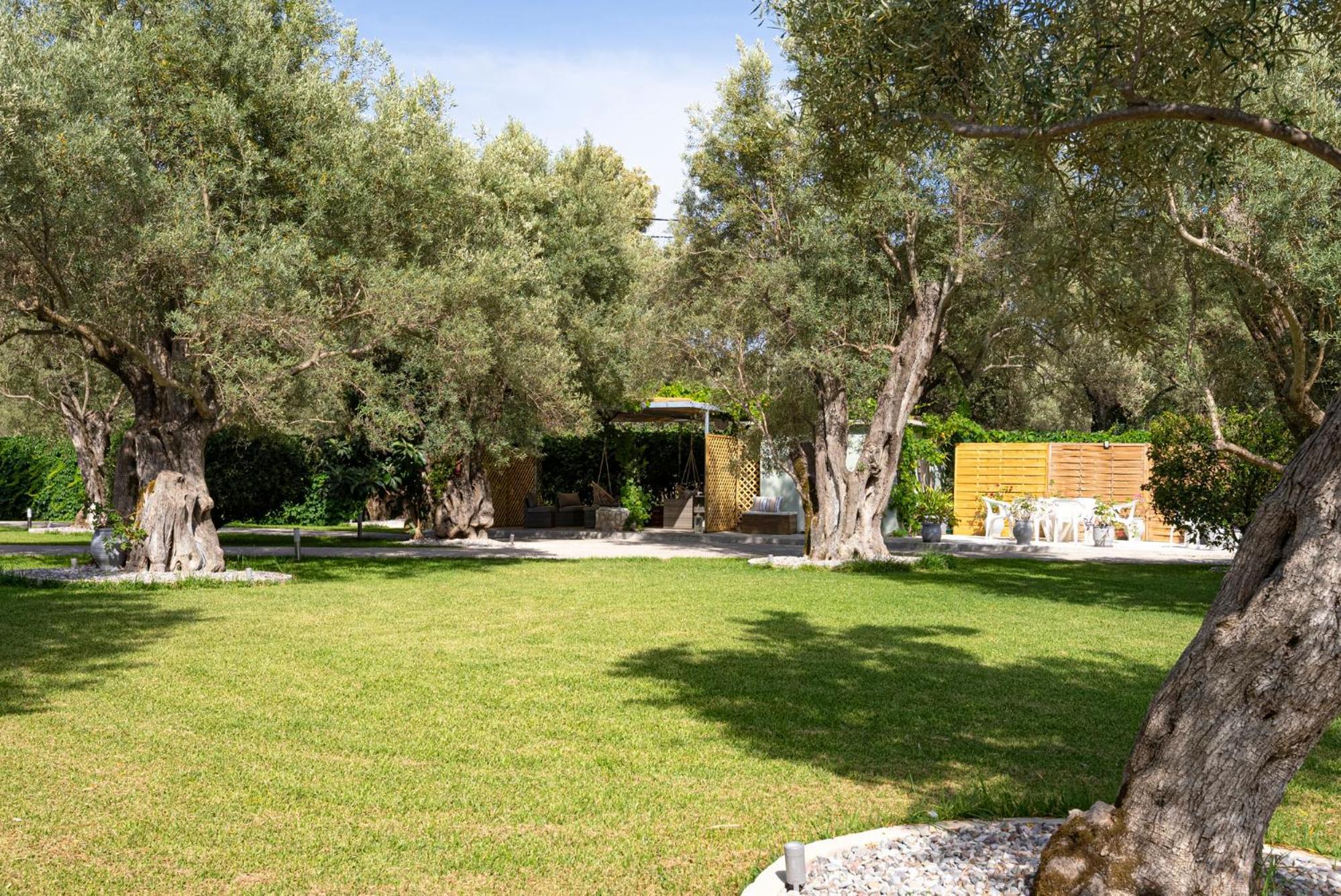 Apartment Elaia - &