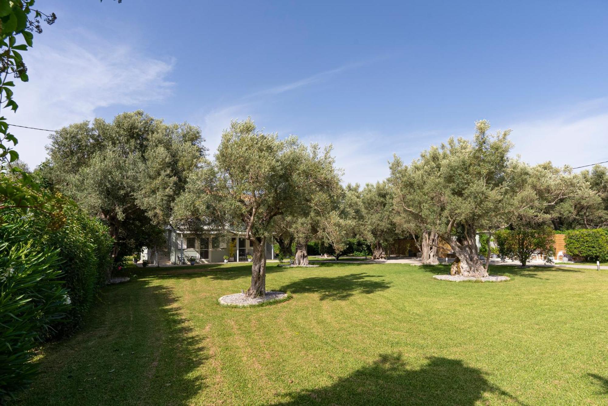 Apartment Elaia - &