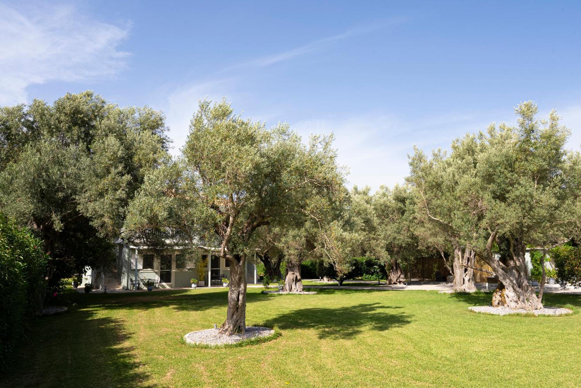 Apartment Elaia - & Lefkada City