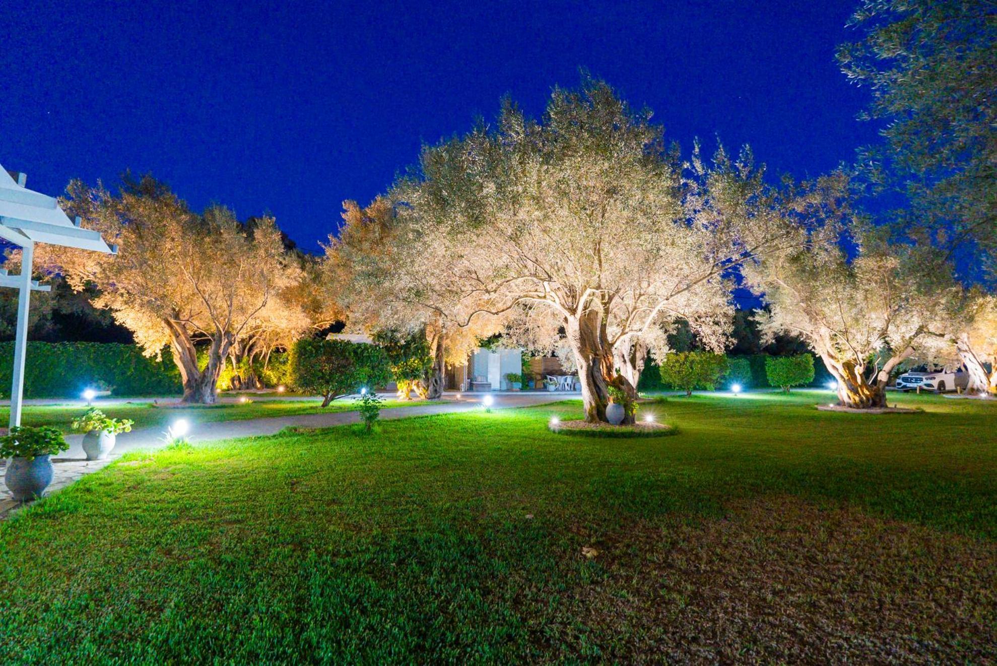 Elaia - & Apartment Lefkada City